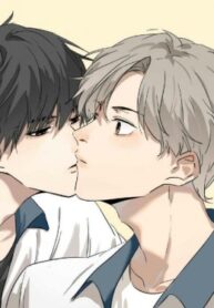 Cover 58206