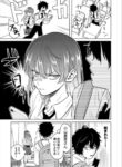 Cover 58243
