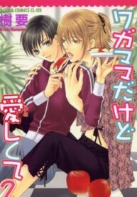 Cover 58260