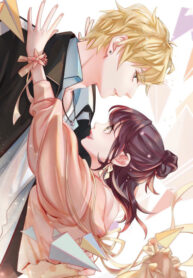 Cover 58555