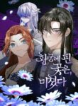 Cover 58822