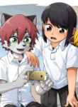 Cover 58880