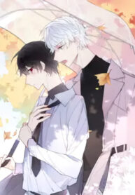 Cover 58890