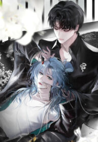 Cover 58972