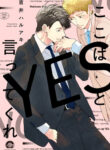 Cover 59178