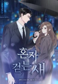Cover 59402