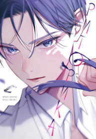 Cover 59637