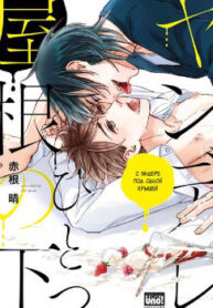 Cover 59678