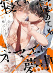 Cover 60275