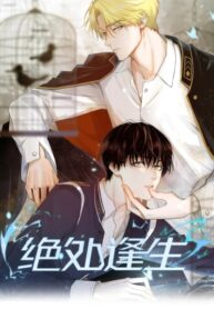 Cover 60488