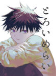 Cover 60527