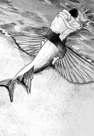 Cover 60553