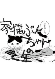 Cover 60743