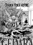 Cover 60785