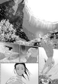 Cover 61017