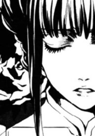 Cover 61431