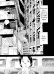 Cover 61537