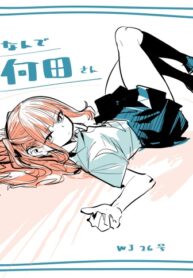 Cover 61561