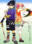 Cover 61595