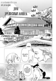 Cover 61699