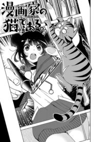 Cover 61731