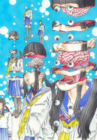 Cover 61747