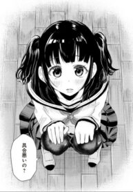 Cover 61869