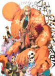Cover 62045
