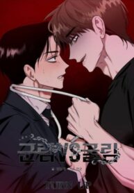 Cover 62167