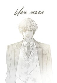 Cover 62207