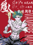 Cover 62528