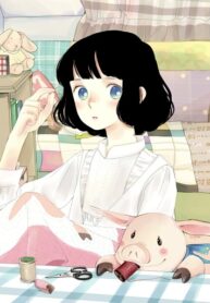 Cover 62542
