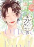 Cover 62632