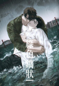 Cover 62766