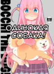 Cover 62846