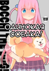 Cover 62846
