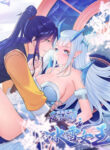 Cover 62901