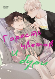 Cover 62925