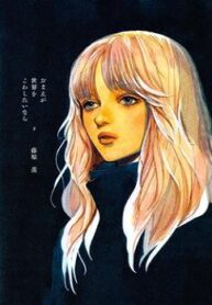 Cover 62985