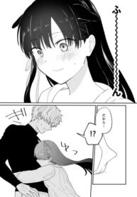 Cover 63101