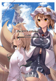 Cover 63113