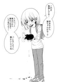 Cover 63115