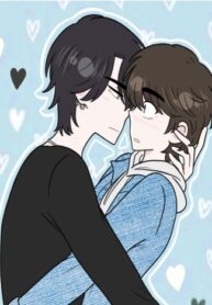 Cover 63165