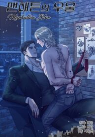 Cover 63171