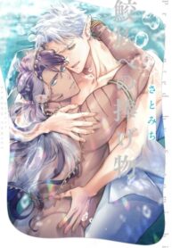 Cover 63183