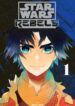 Cover 63335