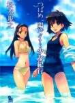 Cover 63341