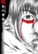 Cover 63343