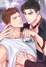 Cover 63407