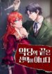 Cover 63425